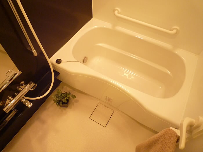 日神デュオステージ国領 風呂画像