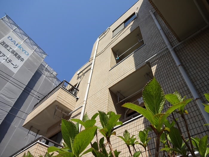 メゾンドールFT その他12