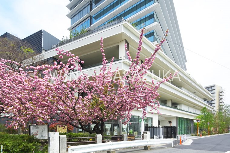 メルクマール京王笹塚レジデンス その他12