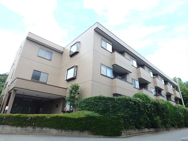 アイビーコート その他11