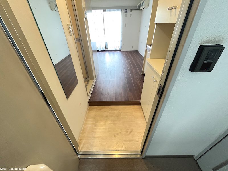 ピアつつじヶ丘 玄関