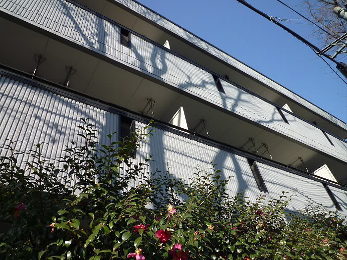 エクセル八雲台（1LDK表記） 101号室 外観