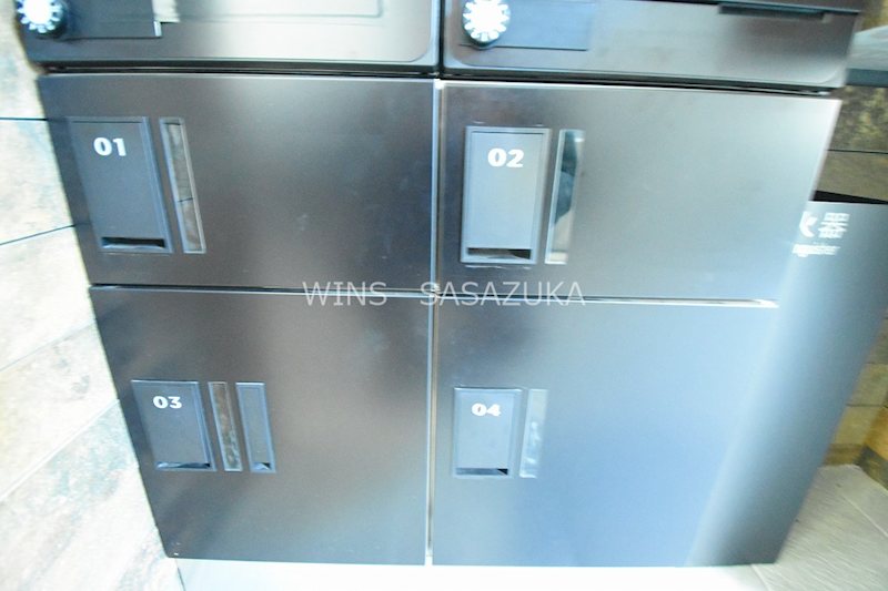 FonsLucisIzumi その他8