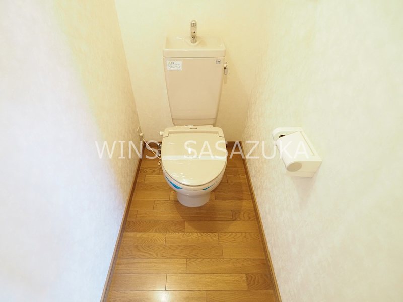 エヴァーグリーン その他2