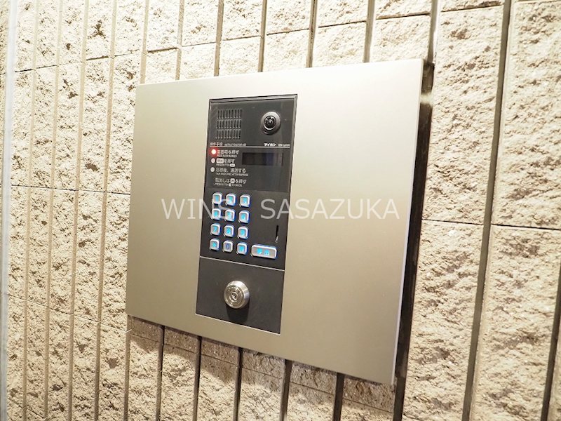 エヴァーグリーン その他5