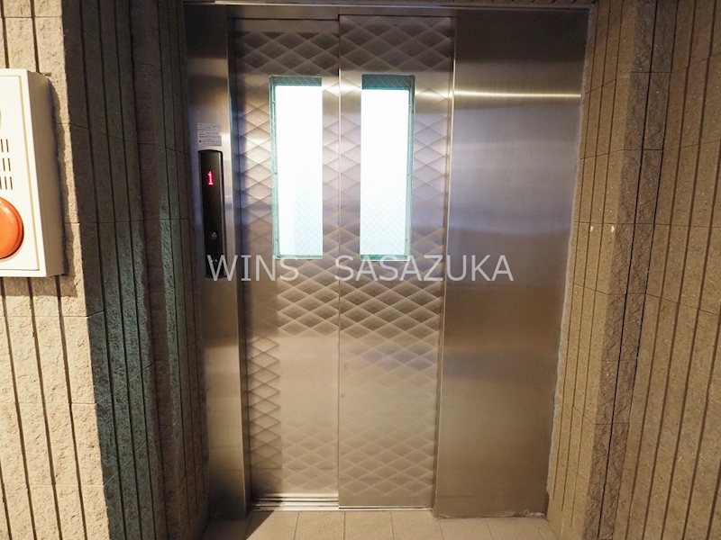 エヴァーグリーン その他6