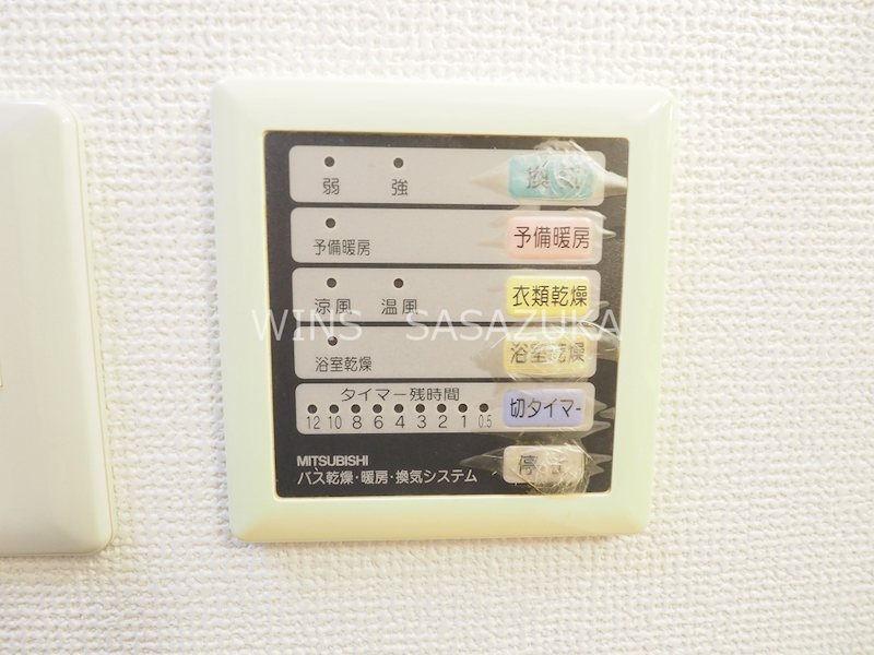 エヴァーグリーン その他11