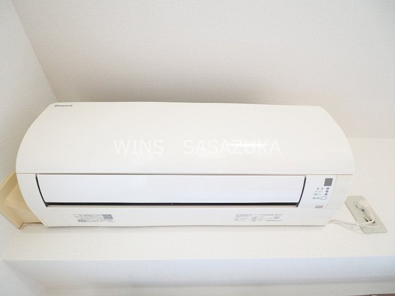 エヴァーグリーン その他14