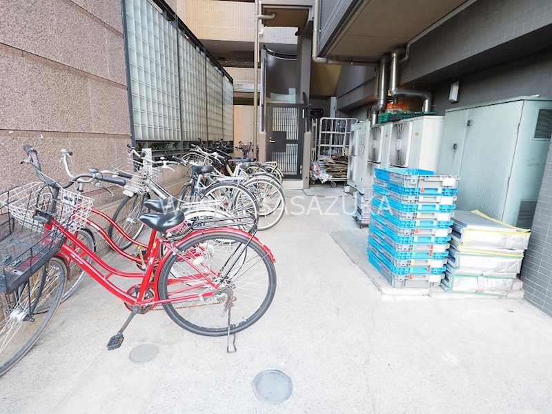 エヴァーグリーン その他15