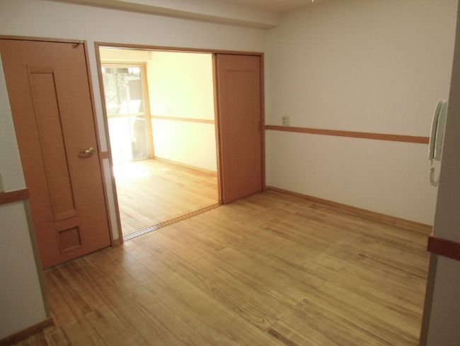 ハット・ミリュウ その他19