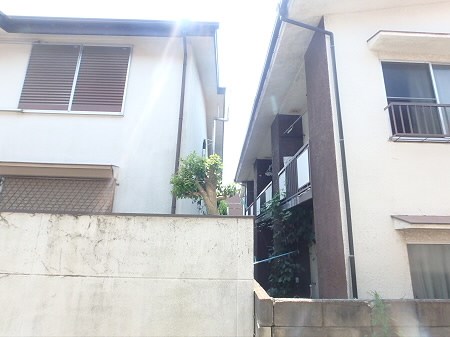 ガウディ5 その他5