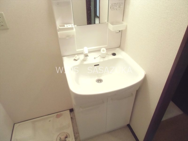 アンプルール・フェールドゥ・イズミ　 その他1