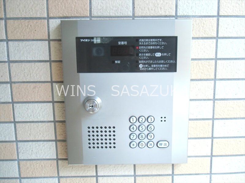 アンプルール・フェールドゥ・イズミ　 その他5