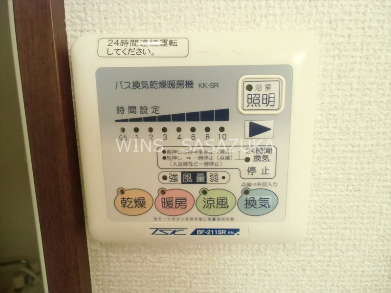 アンプルール・フェールドゥ・イズミ　 その他10