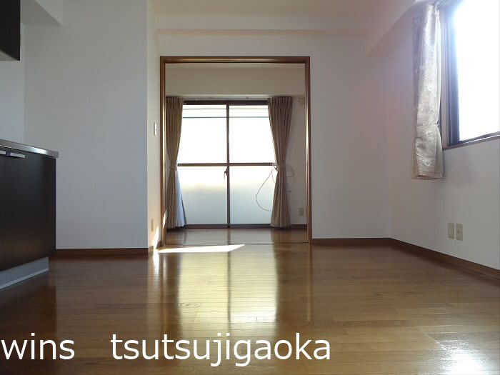 SAつつじヶ丘（旧吉村ビル） その他10