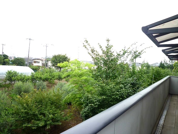 レガシー調布Ⅱ その他6