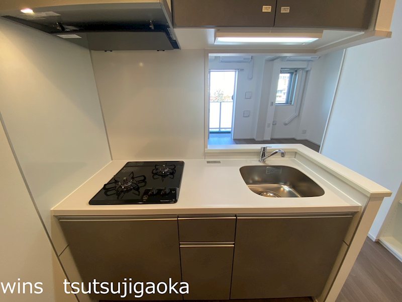 LUMINOUSつつじヶ丘（Dタイプ） キッチン