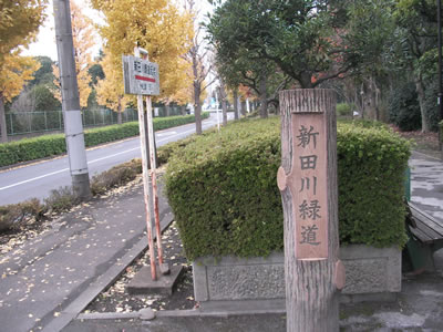 周辺画像6