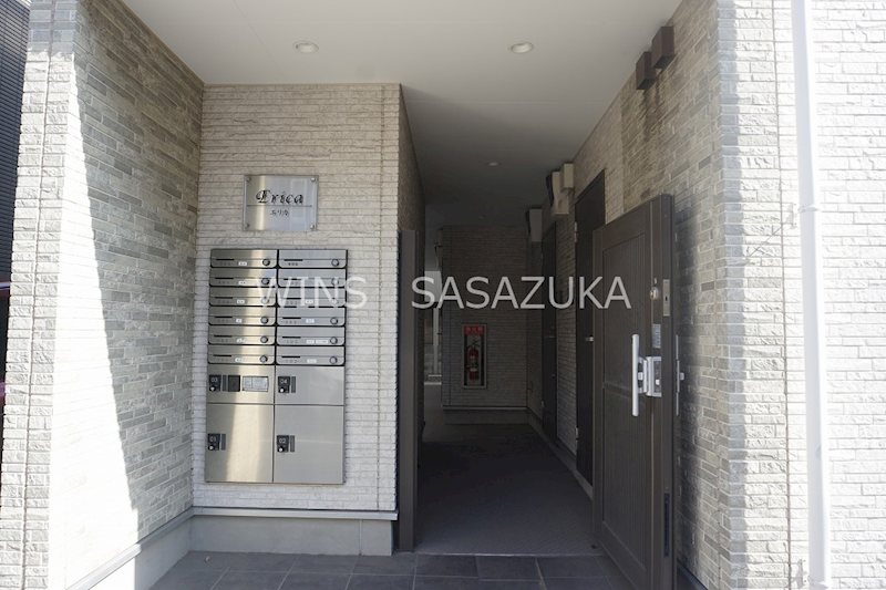 エリカ その他6