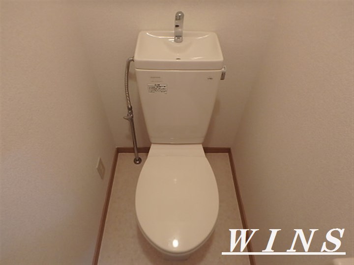 ホームズフリージア その他2