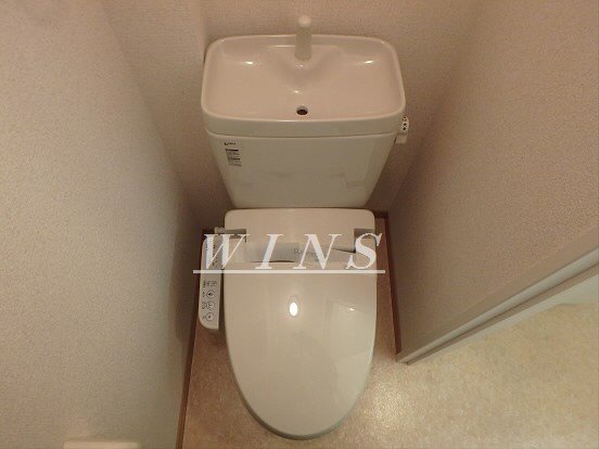 パインクレスト その他2