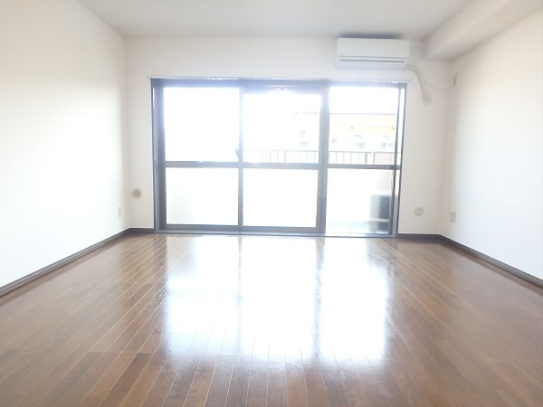 ロイヤルパレス リビング