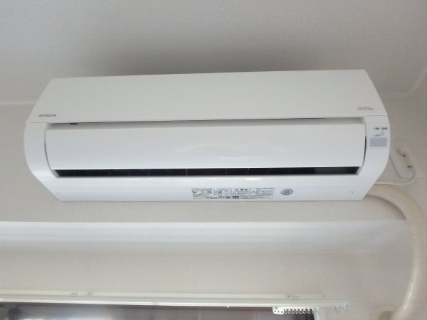 サニーガーデンアライ その他6