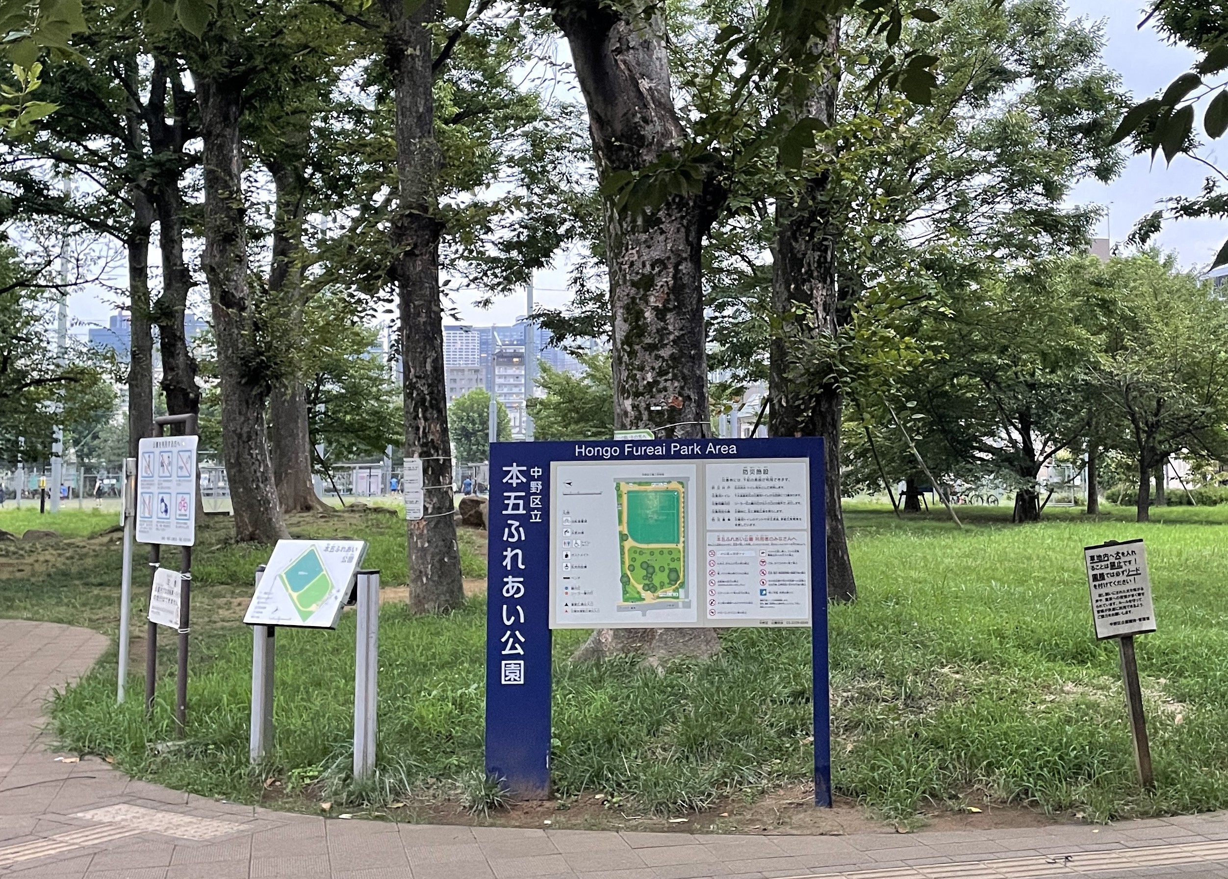 セレスティア本町 周辺画像5