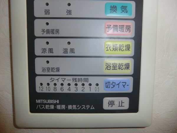 エヴァーグリーン その他5