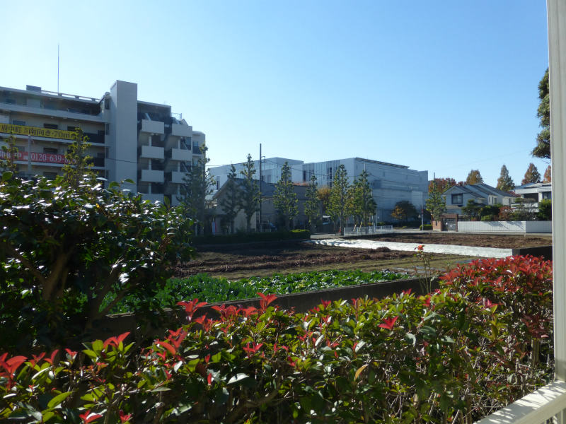 その他1