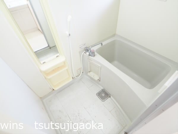 ヴェルドミール・レクス 風呂画像