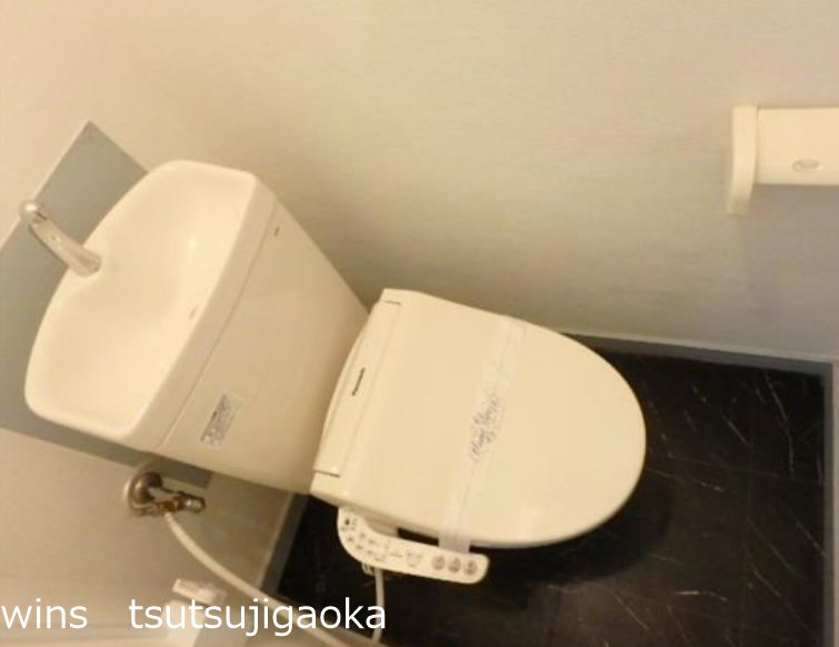 その他1