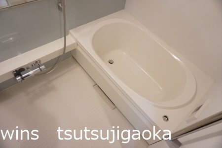 エルミタージュ南烏山 風呂画像