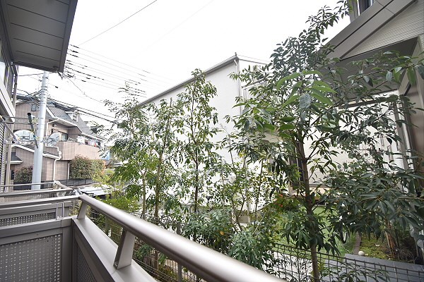 その他15