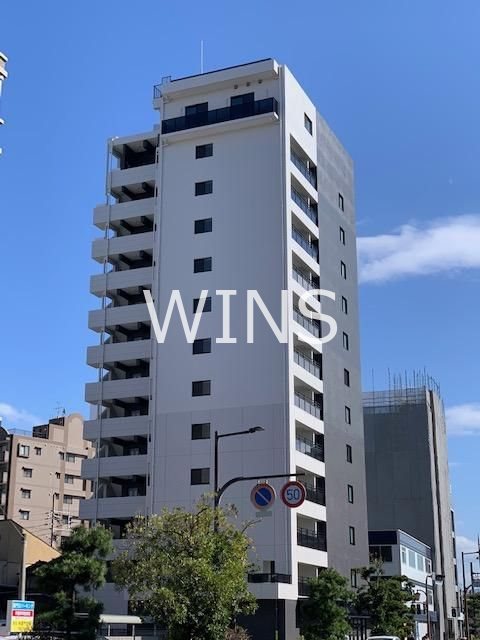 その他11