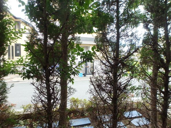Forest深大寺 その他6