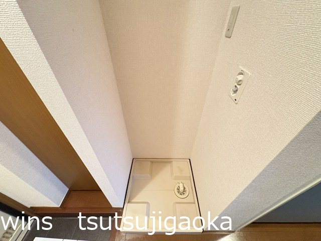 プリムローズ その他5