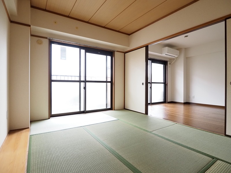 その他11
