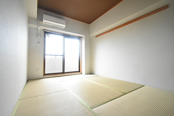 その他13