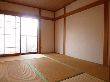 その他11