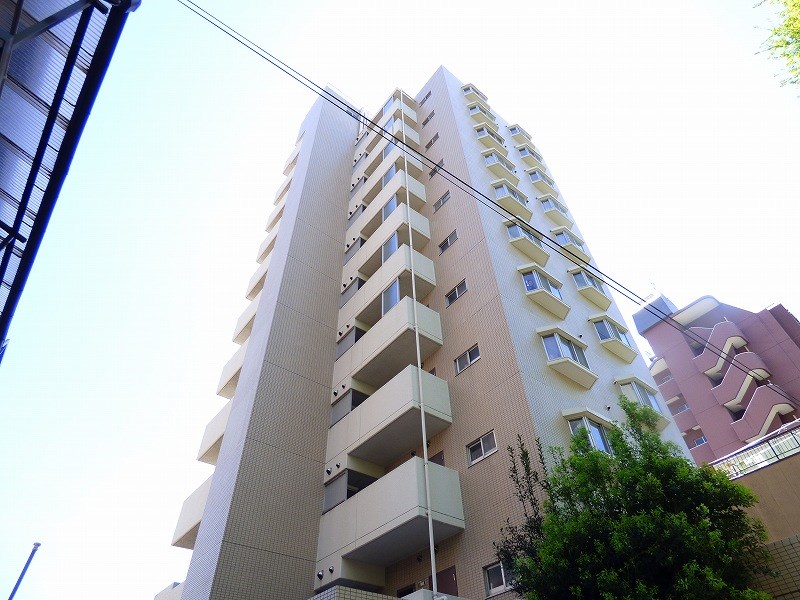 その他12