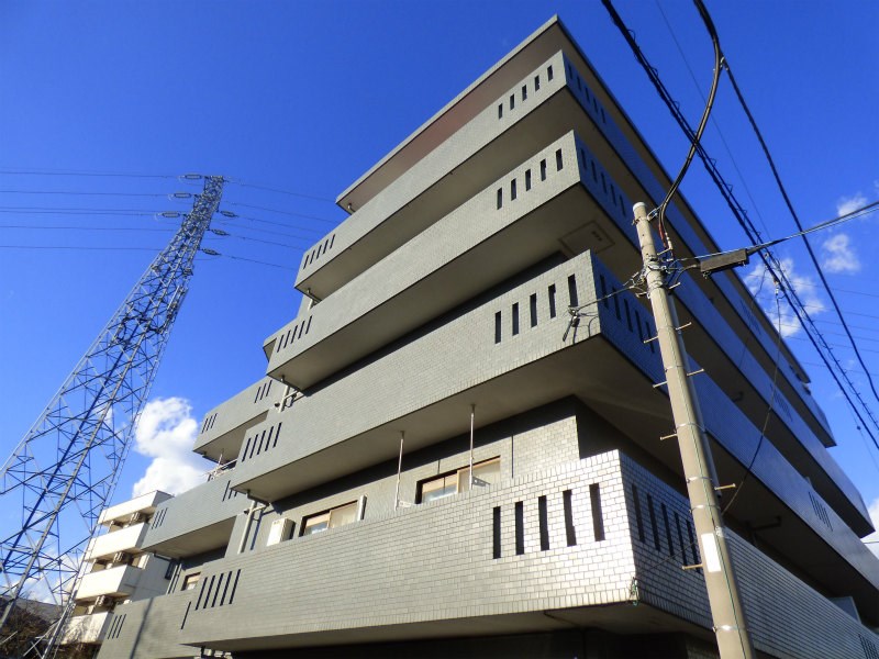 その他11