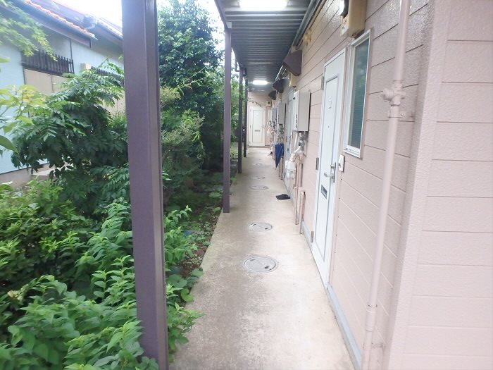 三藤ハイツ（ミツフジハイツ） その他7