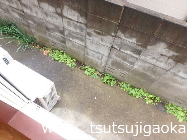 三藤ハイツ（ミツフジハイツ） ベランダ