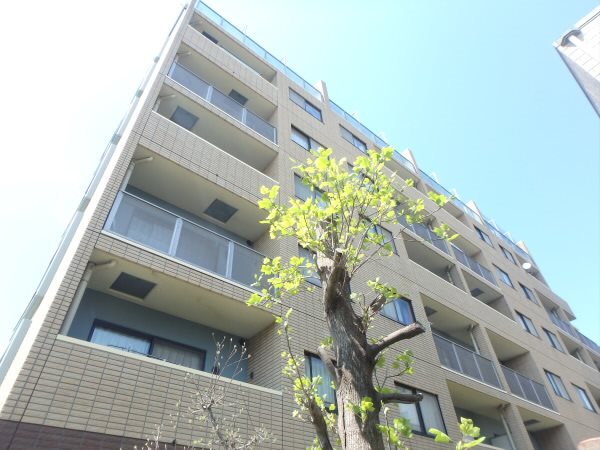 コンフォート双葉 706号室 外観