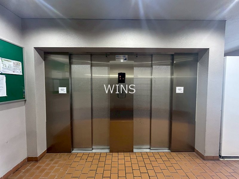 その他11