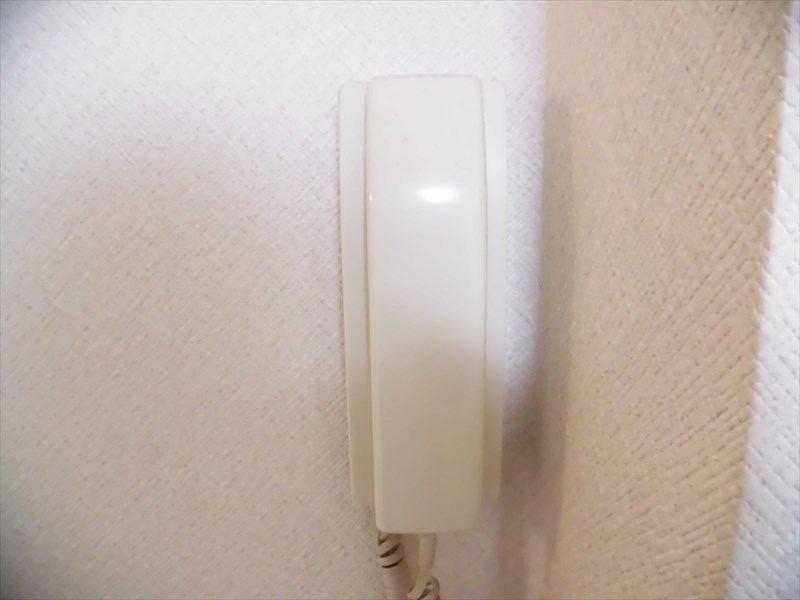 ルミエール赤堤 その他11