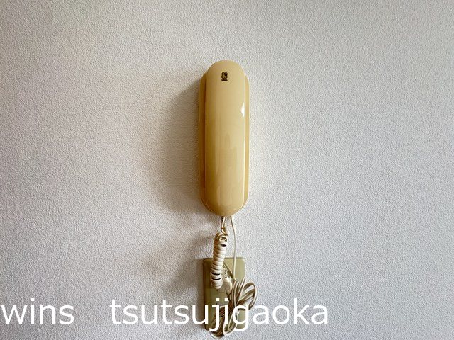 ISプラステリア その他3