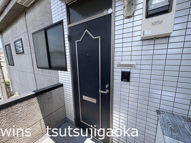 ISプラステリア2 玄関