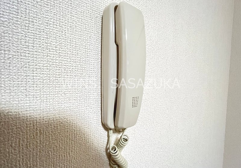 ブルーロビン その他5